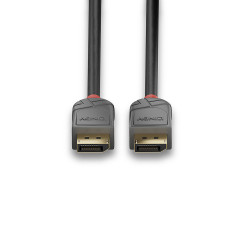 Lindy 36482 cavo DisplayPort 2 m Nero