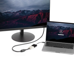 StarTech.com Adattatore USB-C a DVI - Convertitore video USB Type-C a DVI