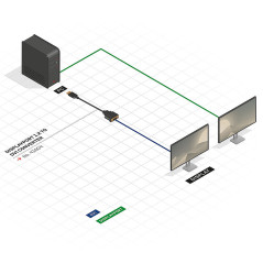 Lindy 41004 cavo e adattatore video 0,15 m DisplayPort DVI-D Nero