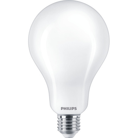 Philips Lampadina smerigliata a filamento 200 W A95 E27