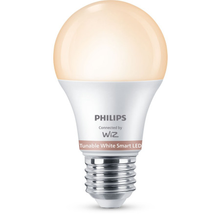 Philips Lampadina 60 W A60 E27