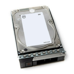 DELL 161-BCJX disco rigido interno 12 TB 7200 Giri min 3.5" NL-SAS