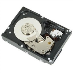 DELL 400-AUPW disco rigido interno 1 TB 7200 Giri min 3.5" Serial ATA III