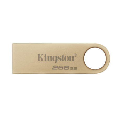 Kingston Technology DataTraveler 256GB 220MB s Drive USB 3.2 Gen 1 in Metallo SE9 G3