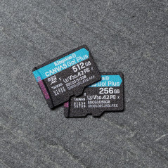 Kingston Technology Scheda microSDXC Canvas Go Plus 170R A2 U3 V30 da 256GB confezione singola senza adattatore