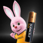 Duracell Plus 100 AAA B8 x10