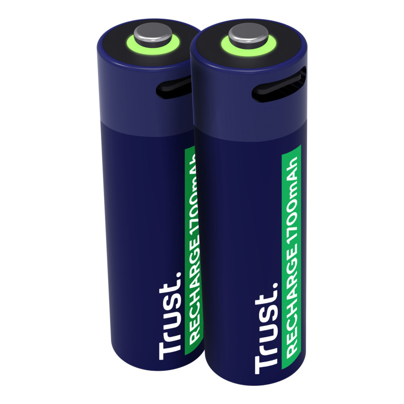 Trust 25584 batteria per uso domestico Batteria ricaricabile Stilo AA