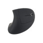 Equip 245110 mouse Mano destra RF Wireless Ottico 1600 DPI