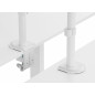 Equip Staffa di montaggio da tavolo articolata per doppio monitor da 17“-32”, bianco