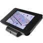 StarTech.com Stand Antifurto con chiave per iPad - Montabile a Parete o Scrivania - Metallo