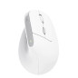 Trust Bayo II mouse Ufficio Mano destra RF Wireless Ottico 2400 DPI