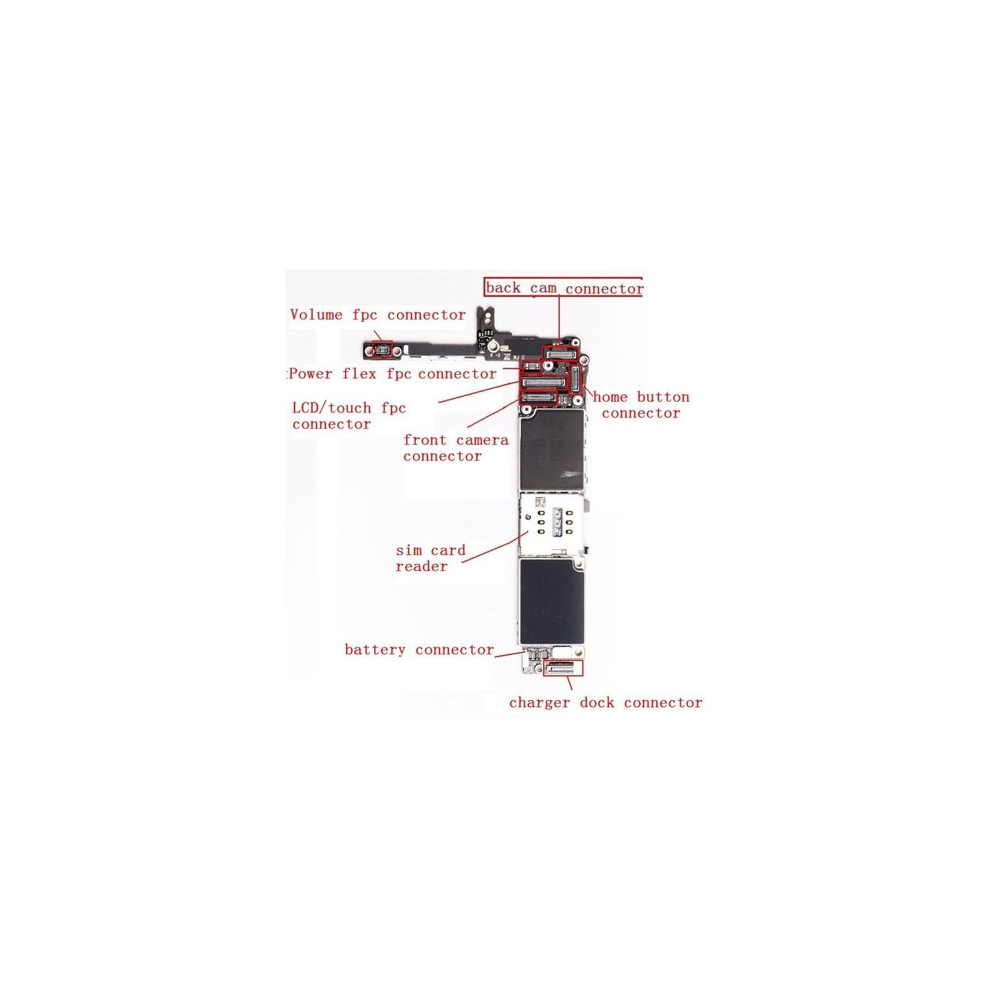 Conector FPC de la batería en el cable flexible para iPhone 12 Pro