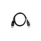 V7 Cavo video nero Pro da DisplayPort maschio a DisplayPort maschio 1 m