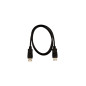 V7 Cavo video nero Pro da DisplayPort maschio a DisplayPort maschio 1 m