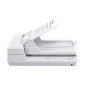 Ricoh SP-1425 Scanner piano e ADF 600 x 600 DPI A4 Bianco