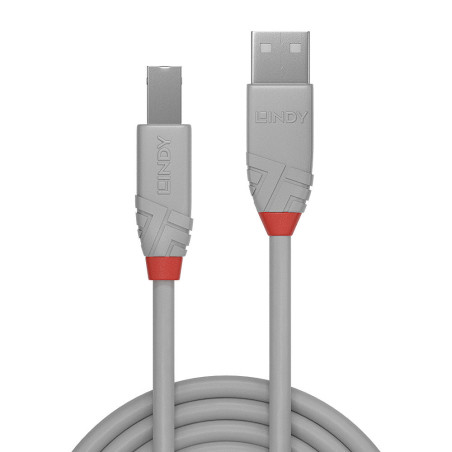 Lindy 36685 cavo USB USB 2.0 5 m USB A USB B Grigio